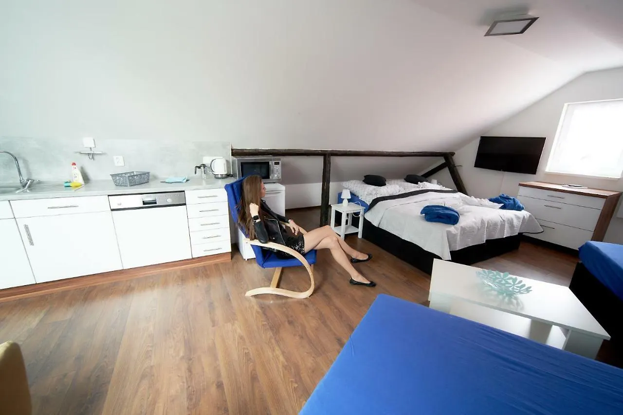 Appartement Bluestars Family à Karlovy Vary